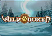 Новинка автомат Wild North от Play`n Go без вложений Новинка автомат Wild North от Play`n Go без вложений